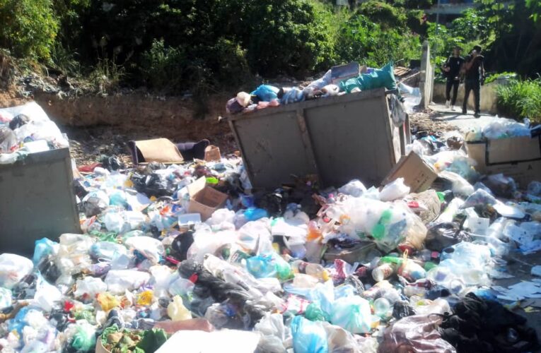 Piden recolección de basura mañana y tarde en la entrada de El Jabillo