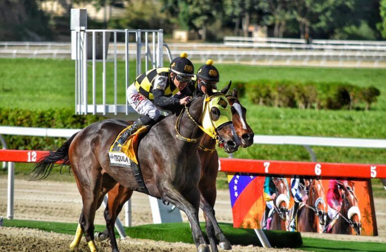 Hipismo criollo comienza este domingo en La Rinconada