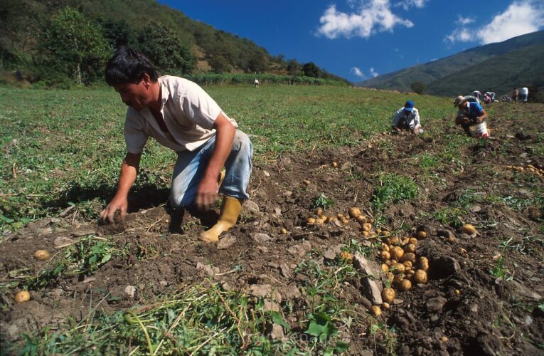 Fedeagro pide al Gobierno que los exonere del pago de impuestos