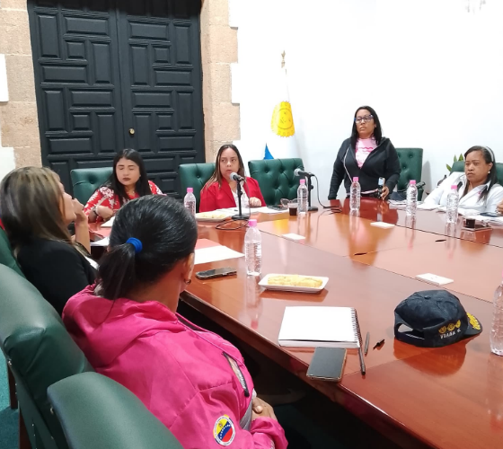 En mesa técnica debaten sobre violencia de género