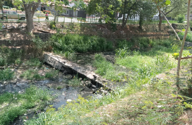 Exigen saneamiento de la quebrada en La Guzmania