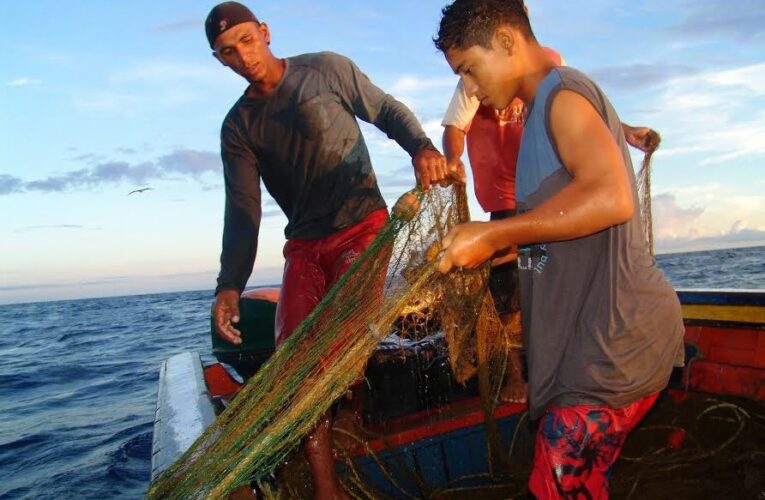 Pescadores venden sus productos en Trinidad y Tobago por altos costos operativos