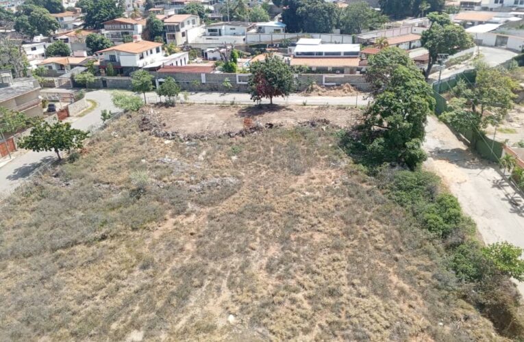 Impiden a trabajadores construir viviendas en Los Corales