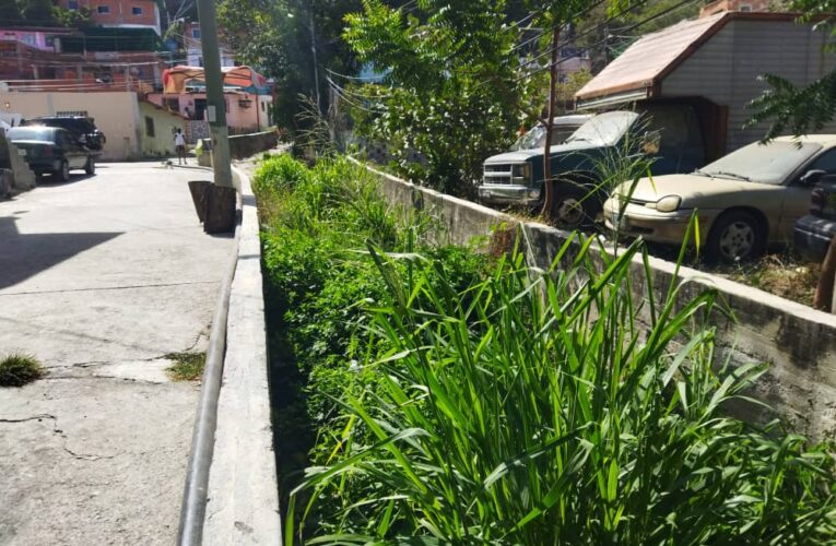 Mes y medio sin agua en Guanape 2 y ya no pueden comprar cisternas en $20