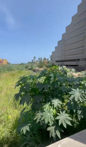 Todos los vecinos de Puerto Viejo exigen el saneamiento del río