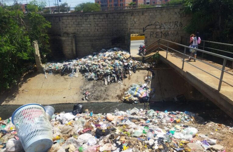 En Barrio Aeropuerto sobreviven en medio de  aguas servidas  y basura