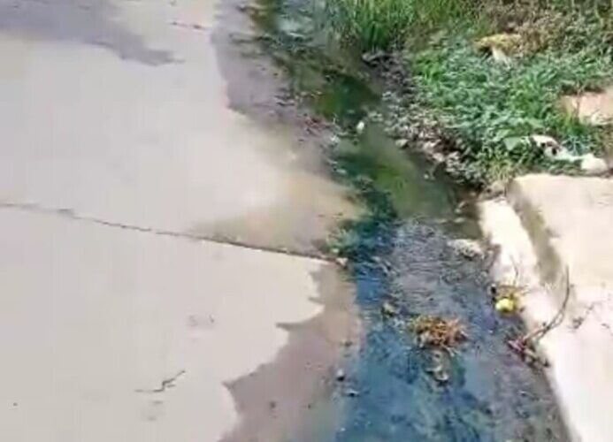 Viviendas se anegan de aguas servidas en Los Olivos