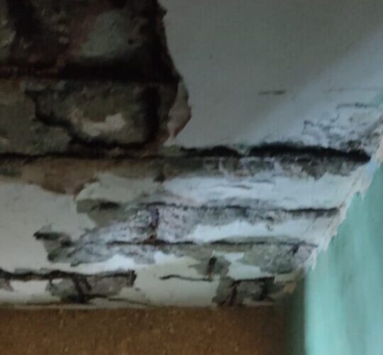 Fundalanavial inspecciona bloque 2 de la Páez