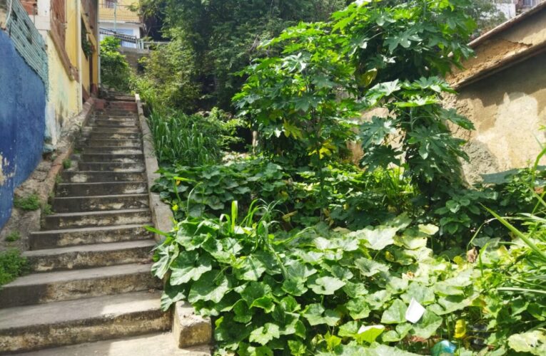 Habitantes piden saneamiento de la quebrada El Jabillo