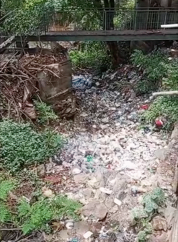 En La Bloquera piden limpieza de la Cinzanito