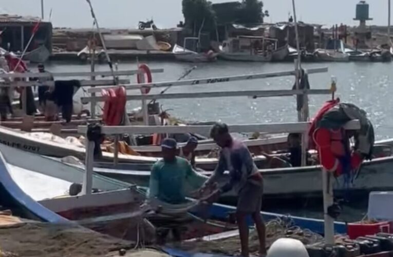 Pescado barato en plaza Los Maestros