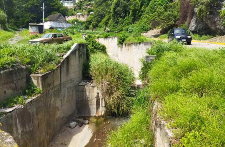 Río Osorio requiere desmalezamiento