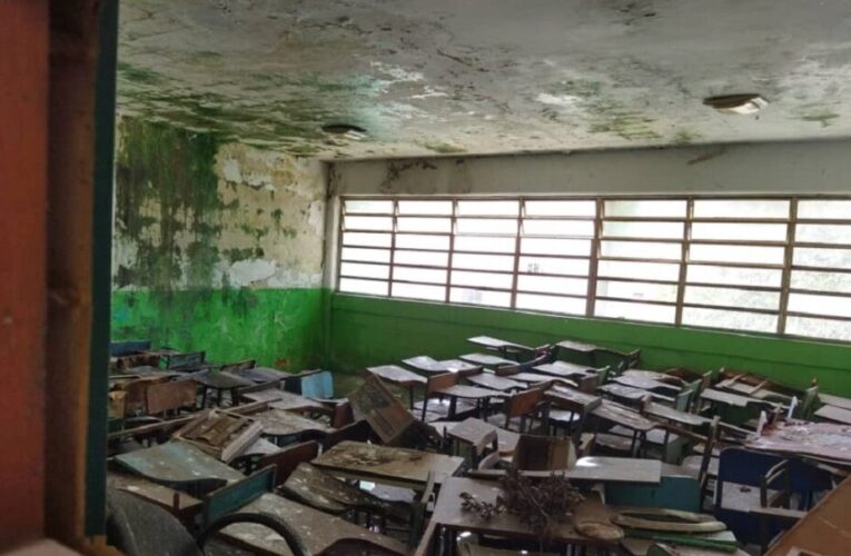Yanett Cazorla: Más del 60% de los planteles están en deterioro