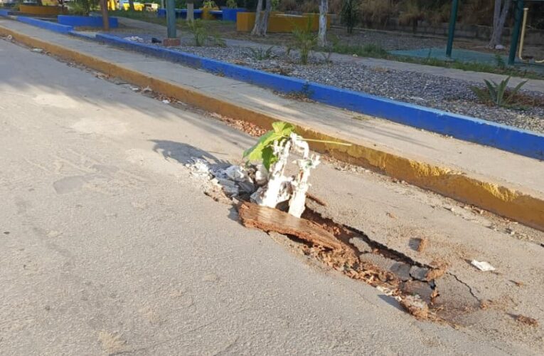 Advierten la presencia de huecos con matas en Marapa Marina
