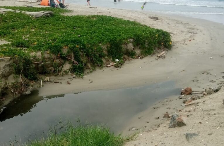 Aguas contaminantes colman calles y playas de nuestro estado