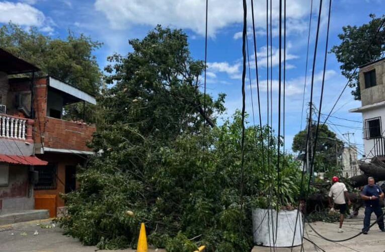 Vientos huracanados en Urimare