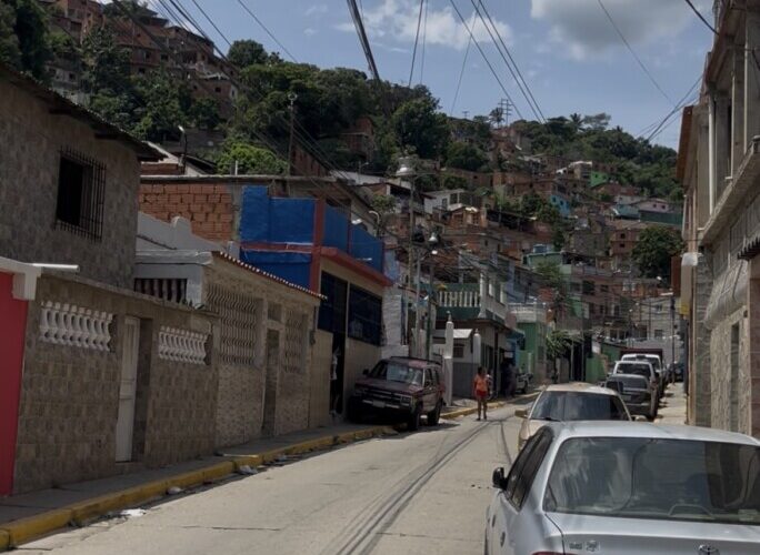 Un día sin luz en Mirabal por árbol que cayó en Zamora