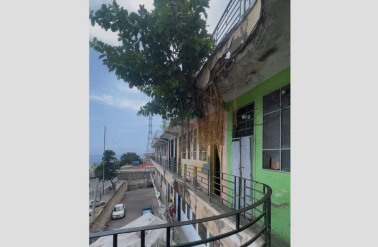 Damnificados del Lorenzo González claman por reubicación