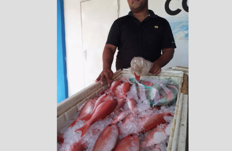 Pescado fresco y barato ofrecen en el muelle de Macuto