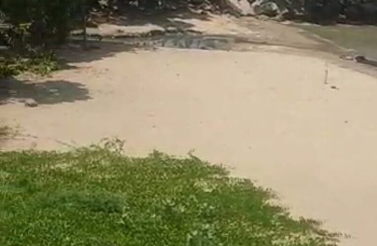 Aguas putrefactas caen a playa de Puerto Viejo