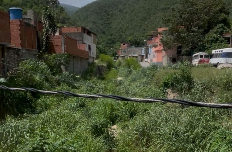 Piden desmalezamiento de la Curucutí