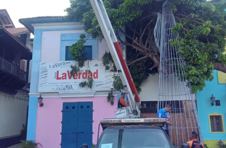 Cae árbol sobre La Verdad de Vargas