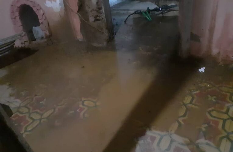 Crecen Curucutí y Guanape