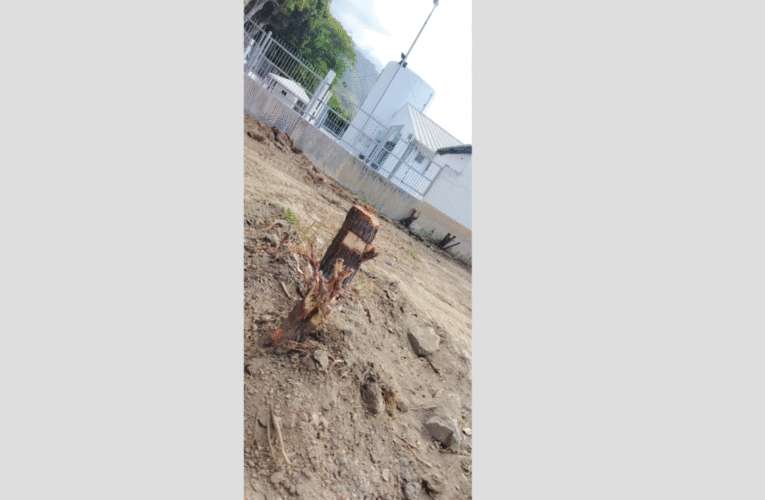 Daño ambiental en El Ceibo