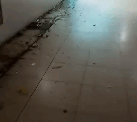 Urge limpieza del túnel de Pachano