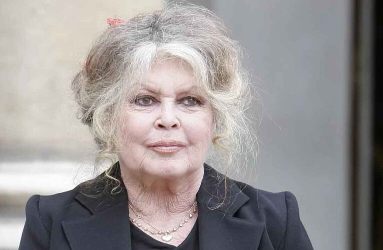 Murió el símbolo más icónico del cine francés, Brigitte Bardot