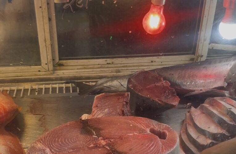 Desde $10 está el atún en el Muelle Pesquero