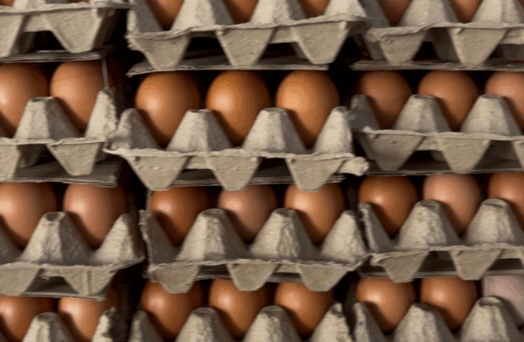 Medio cartón de huevos a $2.90/Bs.1.000 en la Feria Agrícola