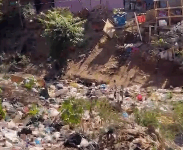Basura y cría de cerdos en Barrio Aeropuerto