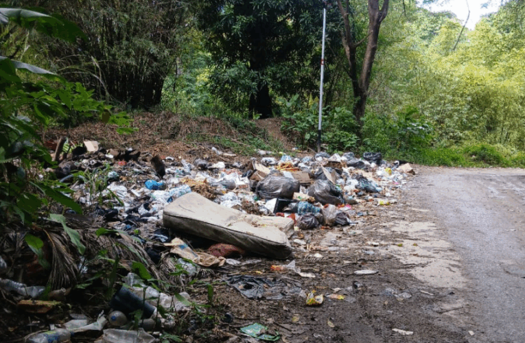 Alcalde mande a limpiar el río de La Sabana