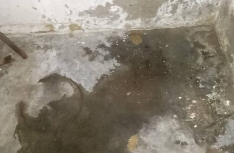 Bomberos inspeccionarán filtraciones en el urbanismo Luisa Cáceres