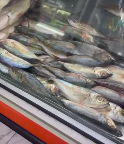 Mar de fondo afecta a pescadores