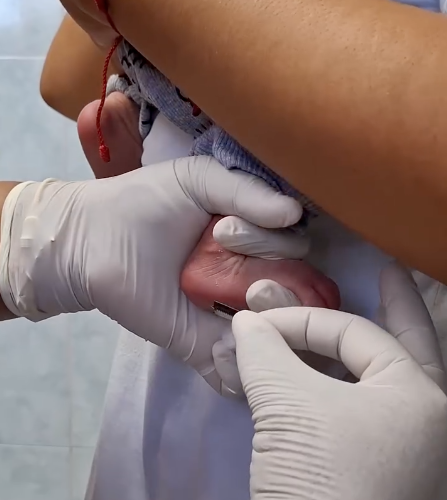 Prueba del Talón todos los martes y jueves en el Seguro