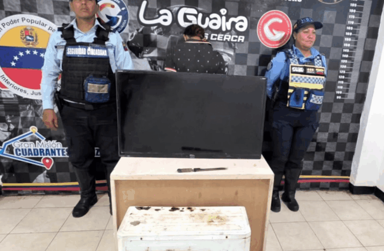 Capturado “El You” por hurtar un aire y un televisor en Miralejos