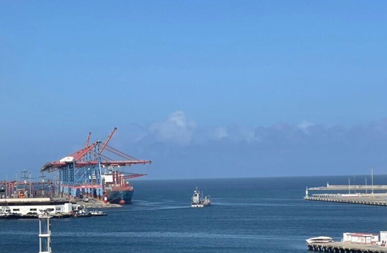 Puerto de La Guaira mantiene activo movimiento de buques