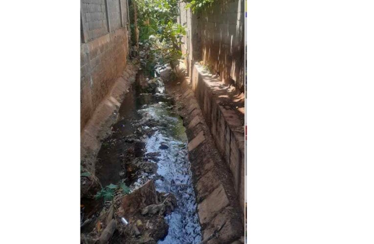 Vecinos de las veredas de La Páez piden limpieza de la quebrada