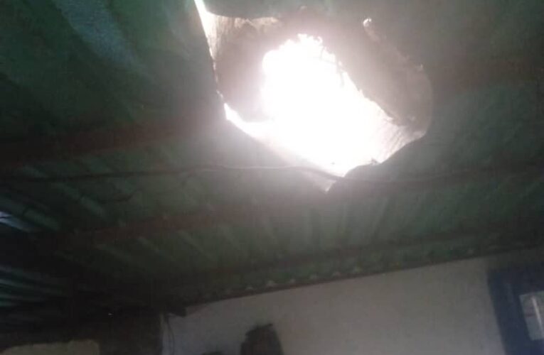 Piden cortar árbol seco en 27 de Julio