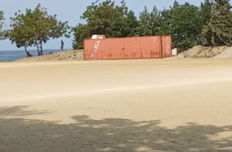 Proteccionistas exigen retiro de contenedor abandonado