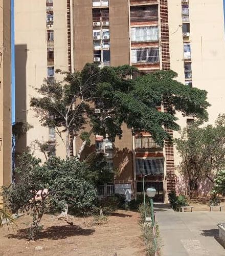 Zozobra en Marapa Marina por familia con esquizofrenia