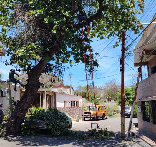 Mario Mora le está cumpliendo a Carlos Soublette