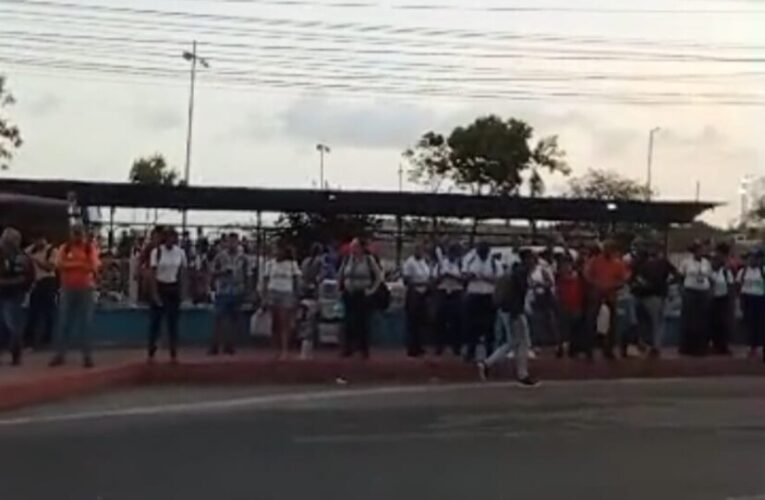 Pocas unidades privadas y las del Gobierno no aparecen