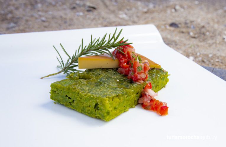 Encuentran en Caruao cuatro macroalgas alimenticias