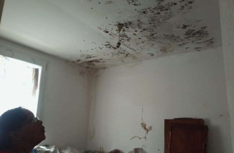 ¡Ojo gobernador! Es un peligro: Filtraciones de cloaca debilitan la torre D23 de Hugo Chávez