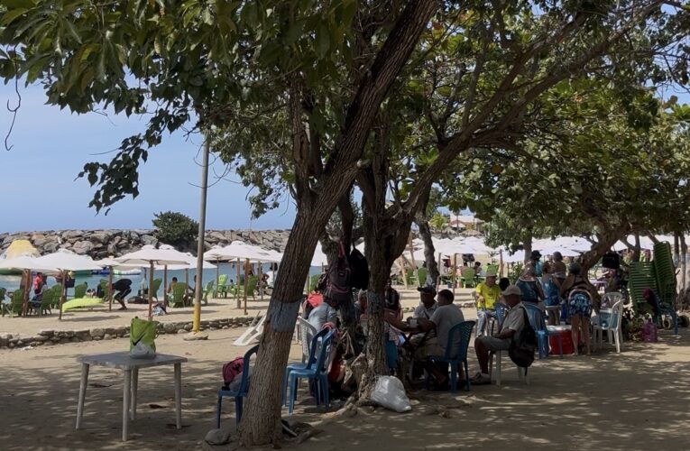 “Poda del guatepajarito fue selectiva y aún hay sombras para los bañistas”