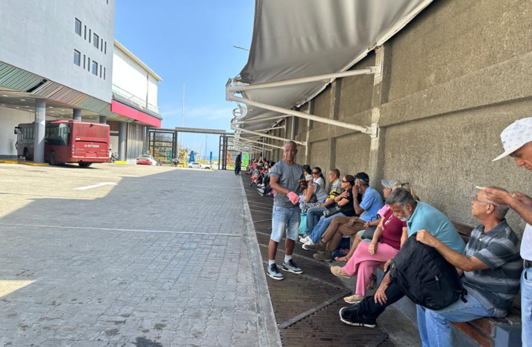 Usuarios echan raíces en la parada