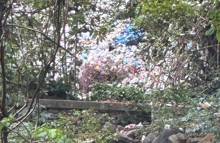 Basura y aguas servidas afectan el río Osorio